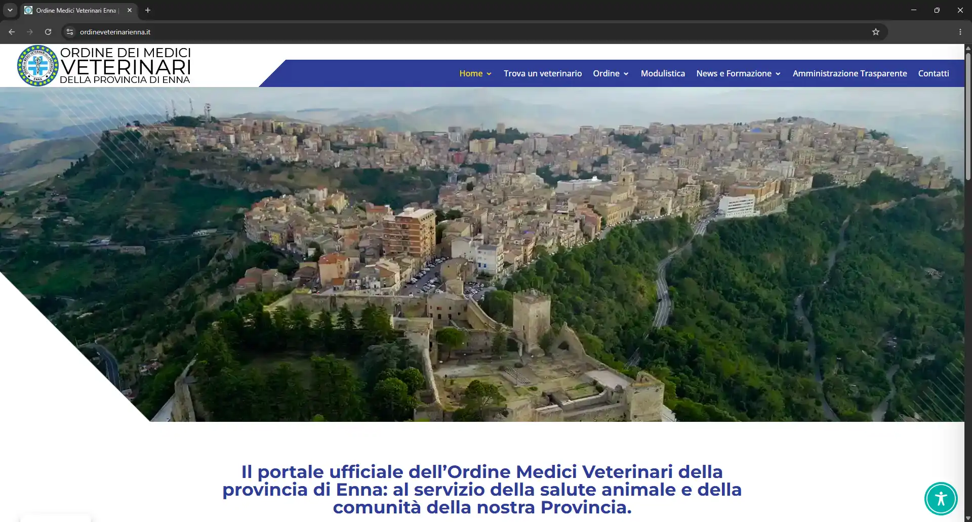 Caso studio Ordine Medici Veterinari Enna tra gli esempi siti web su misura Caso studio Ordine Medici Veterinari Enna tra gli esempi siti web su misura
